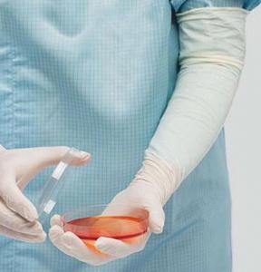 latex surgical gloves