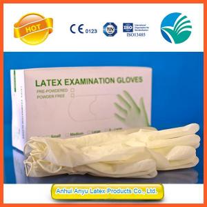 Latex Examination Gloves