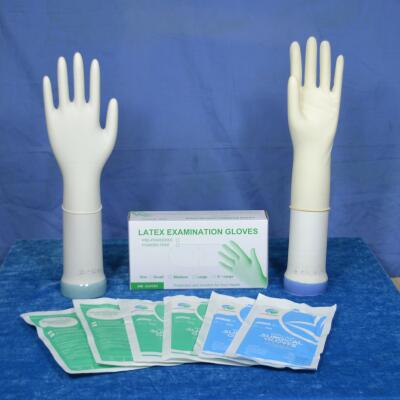 Latex Examination Gloves