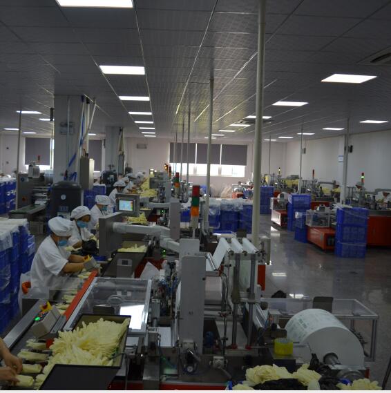 Automated machine packaging 