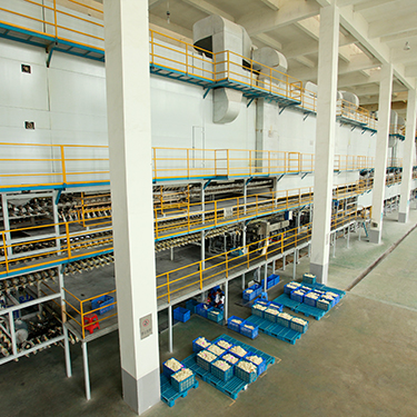 Production Facility